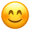 mgGSAw7kSpmstD5urq2R_smiling-face-with-smiling-eyes_1f60a